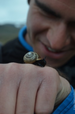 Look at this tiny cute snail!