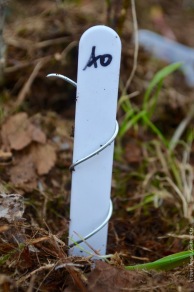 Label and soil temperature sensor attached