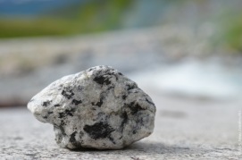 Beautiful rock, a gift from the river