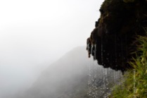 Tiny waterfall on a misty mountain