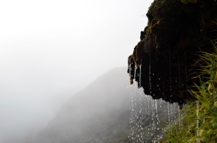 Tiny waterfall on a misty mountain