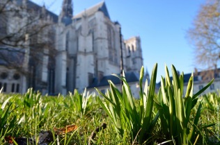 Cathedral with a glimpse of spring