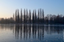 Frozen lake in Parc Saint Pierre