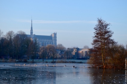 Cathedral seen from the frozen Parc Saint-Pierre