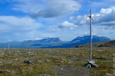 Although the alpine zone has been harder for invasives to access than most places, human structures like trails are often an easy gateway for the invaders to get up there. Picture from Abisko, Swedish Lapland.