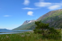 Idyllic Norwegian fjord - Skjomen