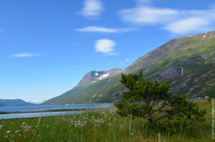 Idyllic Norwegian fjord - Skjomen