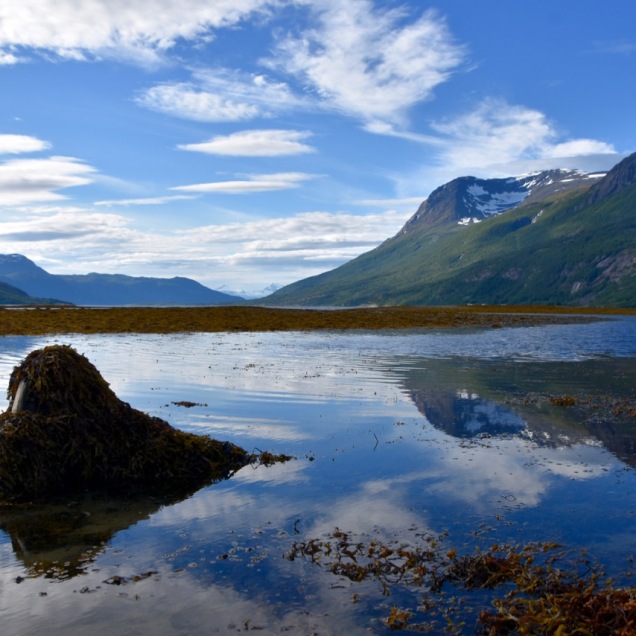 Skjomen fjord